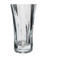 Mordern and Stylish 355ml Decorative Glass Vase- JIH70U1