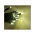 LED Outdoor Lights 20m - Warm White 4000K - Steady