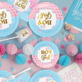 Disposable Gender Reveal Dinnerware for 25 Guests