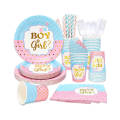 Disposable Gender Reveal Dinnerware for 25 Guests