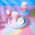 Disposable Dinnerware in Rainbow for 25 Guests