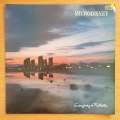 Microdisney  Everybody Is Fantastic - Vinyl LP Record - Very-Good+ Quality (VG+)