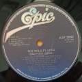 Dan Fogelberg  The Wild Places   Vinyl LP Record - Very-Good+ Quality (VG+)
