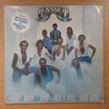 Cameo  Cameosis - Vinyl LP Record - Very-Good+ Quality (VG+) (verygoodplus)
