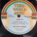 Hot Soul Singers  A Tribute   Vinyl LP Record - Very-Good- Quality (VG-)