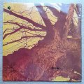 Wishbone Ash  Pilgrimage - Vinyl LP Record - Very-Good+ Quality (VG+)
