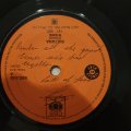 Titanic  Sing Fool Sing / Sultana - Vinyl 7" Record - Very-Good- Quality (VG-)