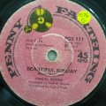 Daniel Boone  Beautiful Sunday - Vinyl 7" Record - Good Quality (G)