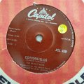 The Beach Boys  Cottonfields - Vinyl 7" Record - Very-Good- Quality (VG-)