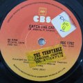 Cherry Laine  Catch The Cat - Vinyl 7" Record - Good Quality (G)
