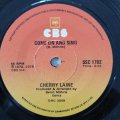 Cherry Laine  Catch The Cat - Vinyl 7" Record - Good Quality (G)