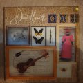 David Hewitt  The Storyteller - Vinyl LP Record - Opened  - Very-Good+ Quality (VG+)