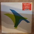 Damien J Carter  What World -  Vinyl LP Record - Very-Good+ Quality (VG+)