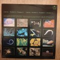 Vangelis  Soil Festivities - Vinyl LP Record - Very-Good+ Quality (VG+)