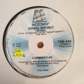 Commodores  Animal Instinct- Vinyl 7" Record - Very-Good+ Quality (VG+)