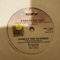 Haircut One Hundred  Fantastic Day / Ski Club - Vinyl 7" Record - Opened  - Very-Good- Qual...