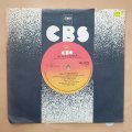 Sally Oldfield  Silver Dagger - Vinyl 7" Record - Very-Good+ Quality (VG+)