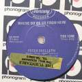 Peter Skellern  The Way You Look Tonight / Where Do We Go From Here - Vinyl 7" Record - Ver...