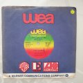 Fern Kinney  Together We Are Beautiful - Vinyl 7" Record - Very-Good+ Quality (VG+)