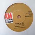 Stealers Wheel  Everyone's Agreed That Everything Will Turn Out Fine - Vinyl 7" Record - Very-...