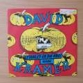 David Kramer  Stanley En Die Koei / Hanne - Vinyl 7" Record - Very-Good+ Quality (VG+) (verygo...