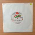 David Kramer  Budgie And The Jets / Karoo Karoo - Vinyl 7" Record - Very-Good+ Quality (VG+) (...