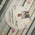 Gerry Rafferty & Joe Egan  Star / What More Could You Want (Rhodesia)- Vinyl 7" Record - Very-...