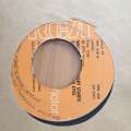 The Boones  When The Lovelight Starts Shining Through His Eyes -  Vinyl 7" Record - Very-Good+...
