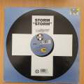 Storm  Storm  Vinyl LP Record - Very-Good+ Quality (VG+) (verygoodplus)