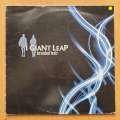 1 Giant Leap  Braided Hair  Vinyl LP Record - Very-Good Quality (VG) (verry))