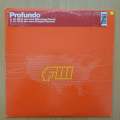Profundo  Do What You Want  Vinyl LP Record - Very-Good+ Quality (VG+) (verygoodplus)