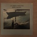 Tony Banks  A Curious Feeling - Vinyl LP Record - Opened  - Very-Good+ Quality (VG+)