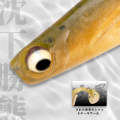 Fishing Lure T-Tail Shad Soft Bait 5 per packet colour Akamatsu