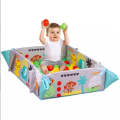 3in1  Activity Play Gym & Ball Pit