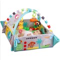 3in1  Activity Play Gym & Ball Pit