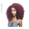Brown Sugar 204 Swiss Lace - Lace Front Wig - BUG