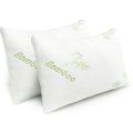 ZS - Amazing Bamboo Pillows Set