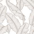 Bashful Palm Lines Wallpaper