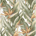Strelitzia Palms Wallpaper
