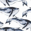 Watercolour Whale Wallpaper
