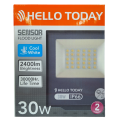 Hello Today Cool White 30 Watt Sensor Flood Light