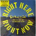 Fat Boy Slim - Right Here Right Now 12' 33 1/3Rpm