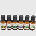 Pack of 6 Must Have Essential Oils: