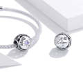 S925 Sterling Silver Twelve Constellation Zircon Beads DIY Bracelet Necklace Accessories, Style:C...