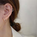 Temperament Ladies Light Luxury Pearl Double Layer Earrings  Earrings, Specification:EH0536