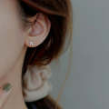 Temperament Ladies Light Luxury Pearl Double Layer Earrings  Earrings, Specification:EH1365