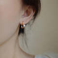 Temperament Ladies Light Luxury Pearl Double Layer Earrings  Earrings, Specification:EH1343