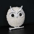Pearl Brooches Owl Animal Brooches For Women(Silver)