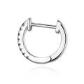 S925 Sterling Silver Circle Earrings Zircon Earrings (Black Silver)
