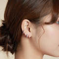 S925 Sterling Silver Circle Earrings Zircon Earrings (Black Gold)